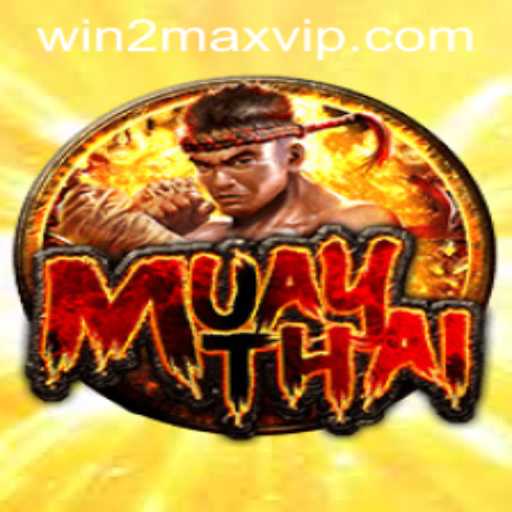MuayThai: Discovering the Intriguing World of WIN2MAX